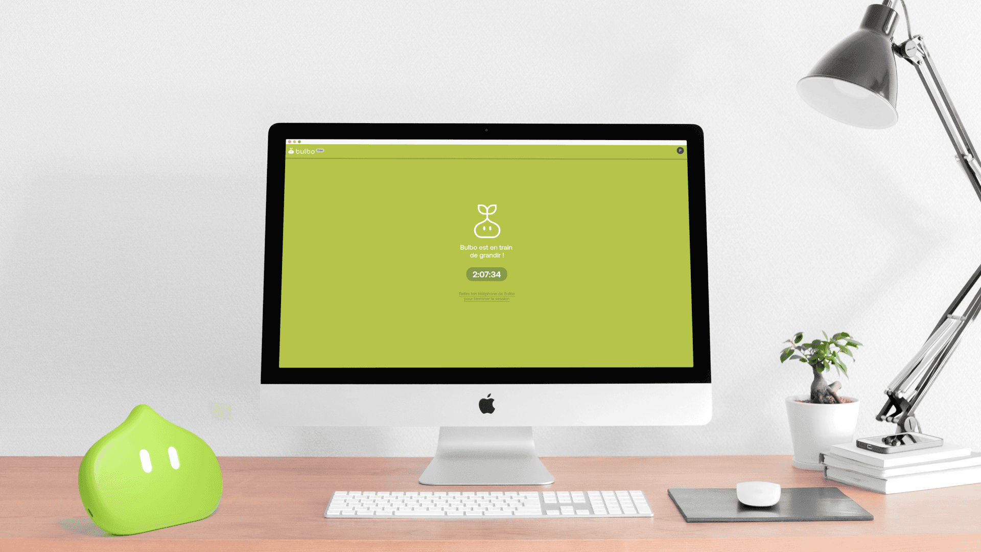 Bulbo — visuel 13