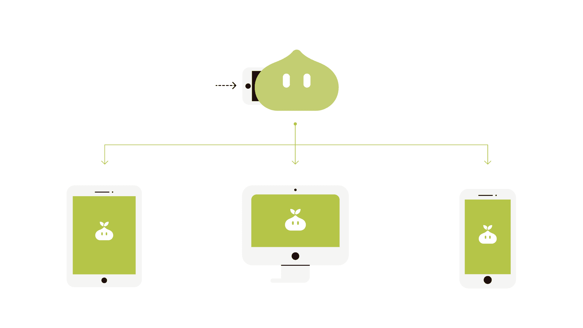 Bulbo — visuel 2
