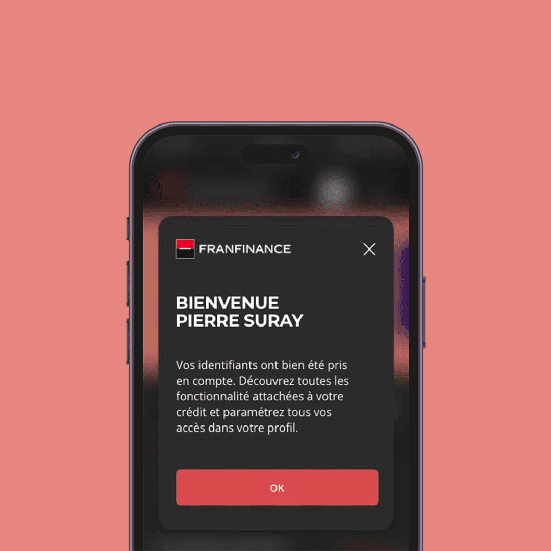 Franfinance — visuel 5