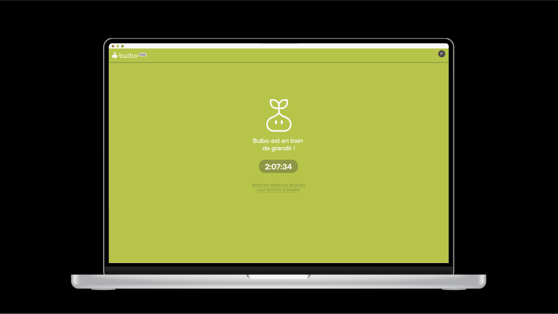 Bulbo — visuel 12