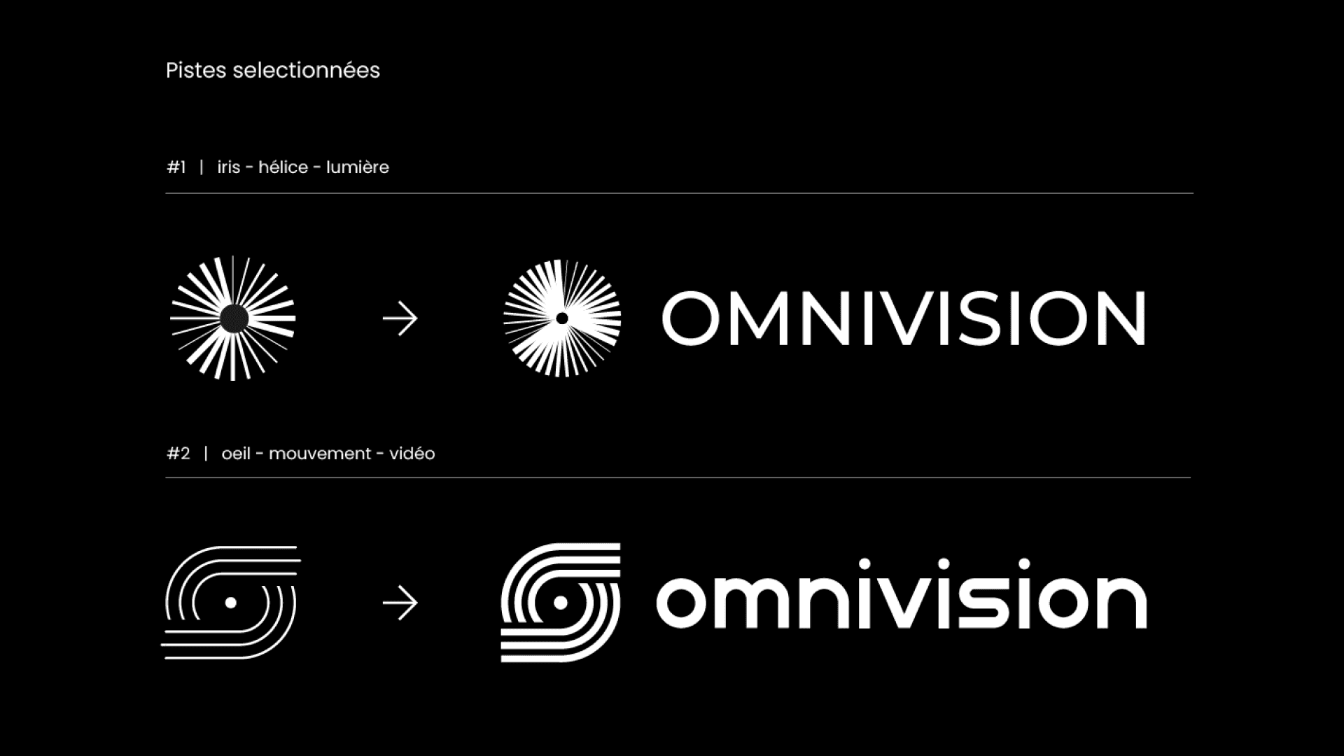 Omnivision — visuel 1